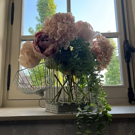 Agnes Little Corner * הונפלר