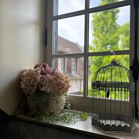 Apartman Agnes Little Corner